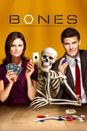 Bones, Season 1 poster 2
