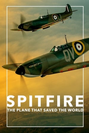SPITFIRE: The Plane That Saved the World poster 4