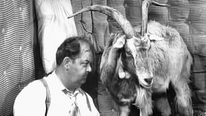 The Andy Griffith Show, Season 3 - The Loaded Goat image
