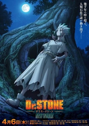 Dr. Stone, Season 1, Pt.1 poster 1