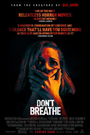Don't Breathe poster 4
