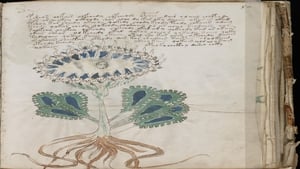 The Unexplained Files, Season 1 - Alien Blood Rain, Carolina Beach Boom & Voynich Manuscript image