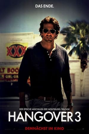 The Hangover Part III poster 4