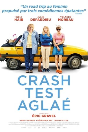 Crash Test poster 2