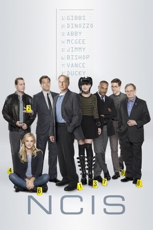 NCIS, Season 6 poster 2