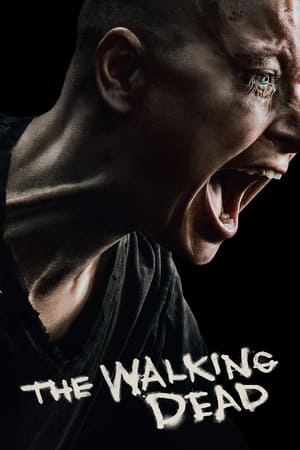 The Walking Dead, Season 4 poster 3
