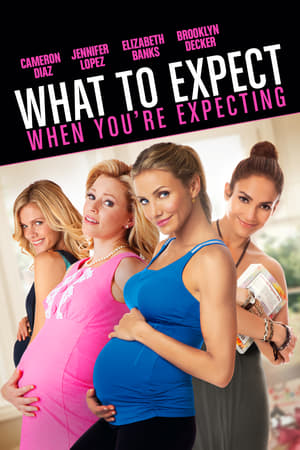 What to Expect When You're Expecting poster 2