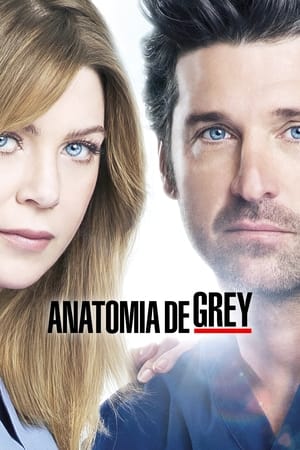 Grey's Anatomy, Season 16 poster 2