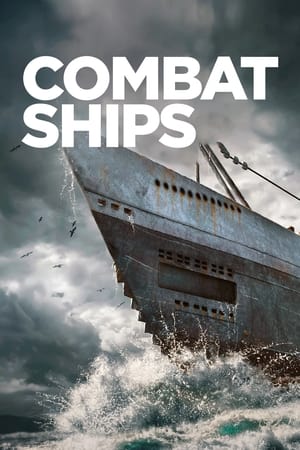Combat Ships, Season 3 poster 2