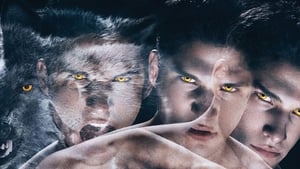 Teen Wolf, Series Boxset image 1