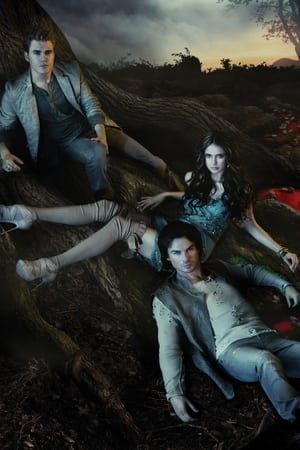 The Vampire Diaries, Season 2 poster 3