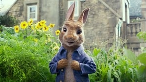 Peter Rabbit image 2