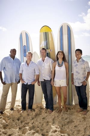 Hawaii Five-0, Season 8 poster 3
