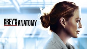 Grey's Anatomy, Season 5 image 1