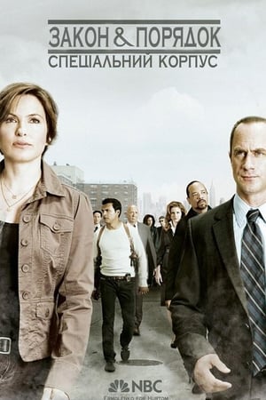 Law & Order: SVU (Special Victims Unit), Season 13 poster 1