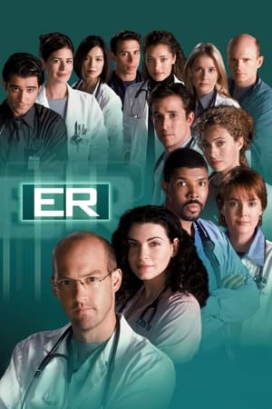 ER, Season 13 poster 3