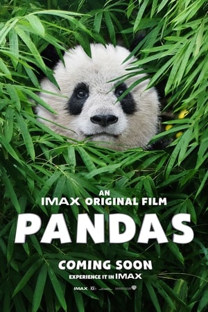 Pandas (2018) poster 1