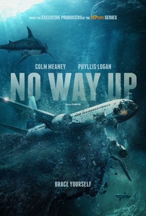 No Way Up poster 4