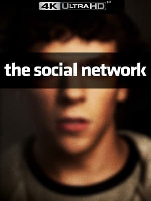The Social Network poster 4