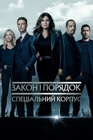 Law & Order: SVU (Special Victims Unit), Season 9 poster 2