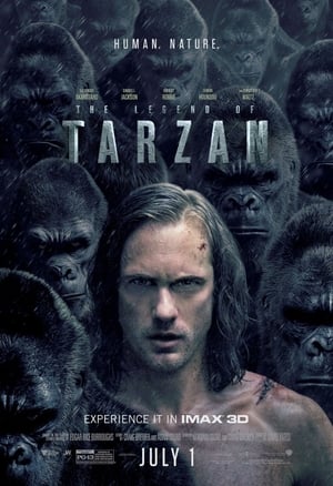 The Legend of Tarzan (2016) poster 4