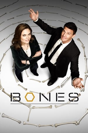 Bones, Season 6 poster 2