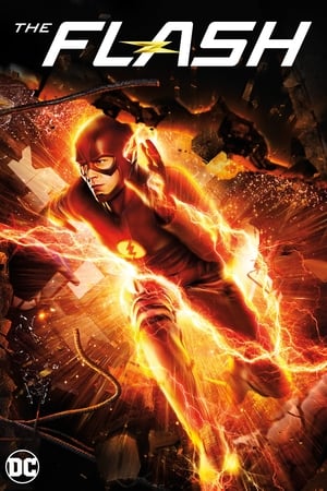 The Flash, Season 8 poster 1