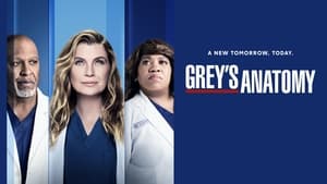 Grey's Anatomy, Season 4 image 2