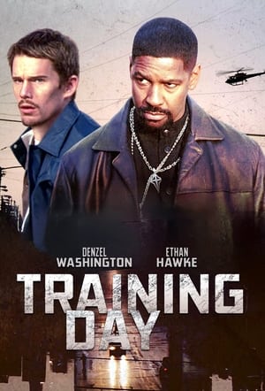 Training Day poster 2