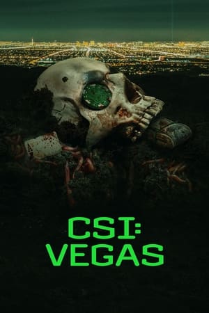 CSI: Vegas, Season 1 poster 1