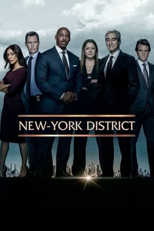 Law & Order, Season 17 poster 2