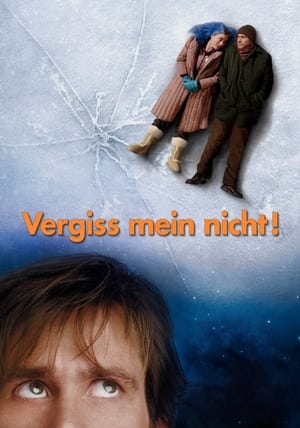 Eternal Sunshine of the Spotless Mind poster 4