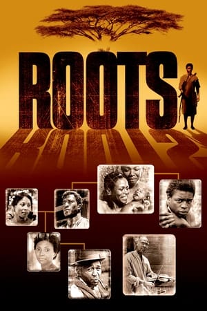 Roots: The Gift poster 1