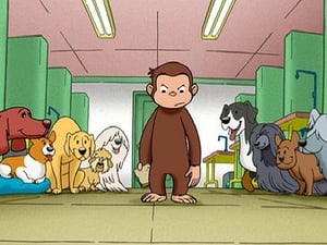 Curious George, Season 1 - Curious George, Dog Counter image