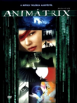 The Animatrix poster 2