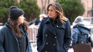 Law & Order: SVU (Special Victims Unit), Season 22 - Hunt, Trap, Rape, and Release image