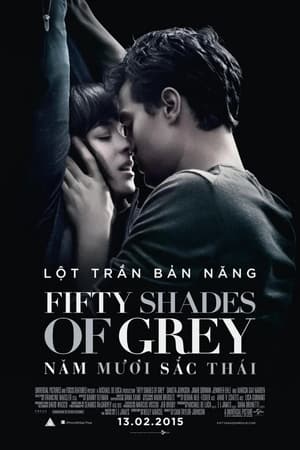 Fifty Shades of Grey poster 3