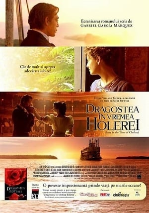 Love In the Time of Cholera poster 2