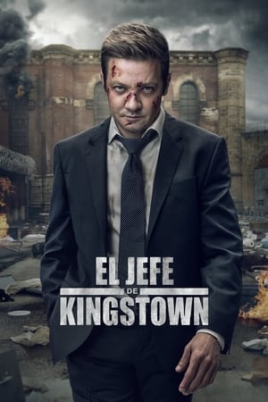 Mayor of Kingstown, Season 1 poster 3