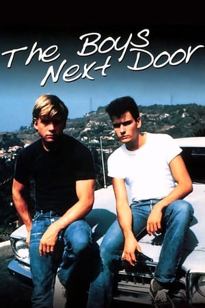 The Boys Next Door poster 3