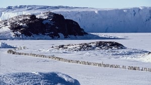 March of the Penguins image 8