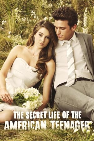 The Secret Life of the American Teenager, Season 1 poster 3
