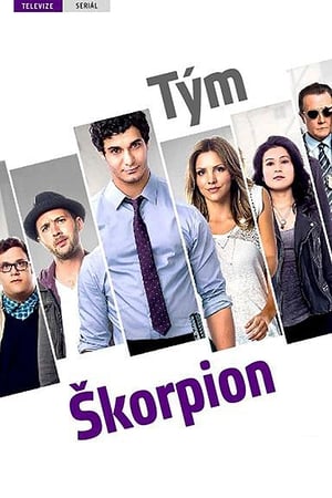 Scorpion, Season 1 poster 0
