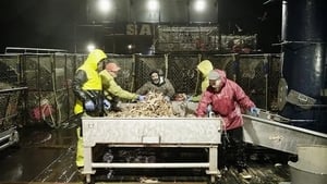 Deadliest Catch, Season 16 - Blood Is Thicker Than Water image