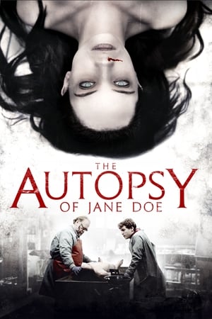 The Autopsy of Jane Doe poster 4