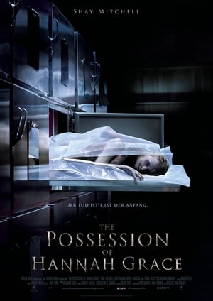 Grace: The Possession poster 1