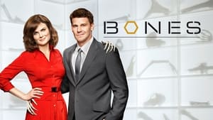 Bones, Season 8 image 2