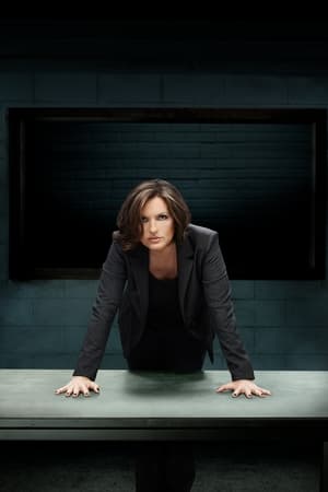 Law & Order: SVU (Special Victims Unit), Season 22 poster 0