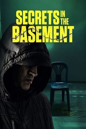 Secrets in the Basement poster 4