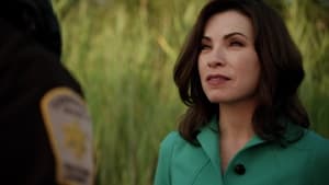 The Good Wife, Season 4 - I Fought The Law image